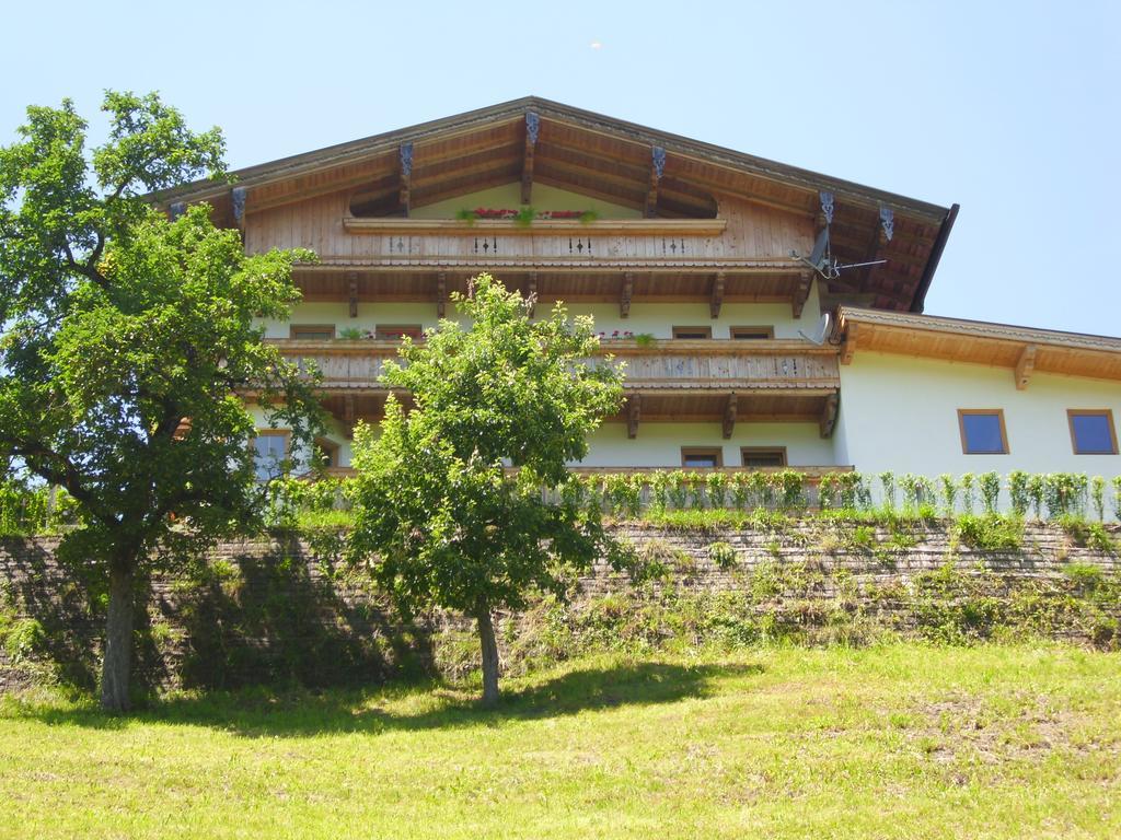 Apartment Kreidl Hippach Ruang foto